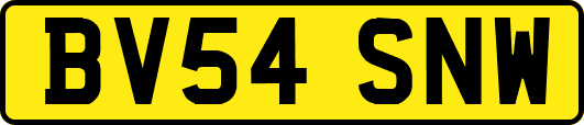 BV54SNW