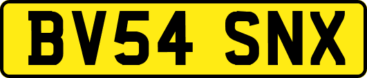 BV54SNX