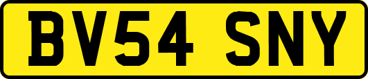 BV54SNY