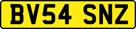 BV54SNZ