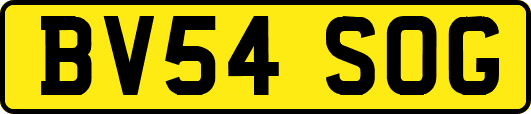 BV54SOG