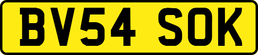 BV54SOK