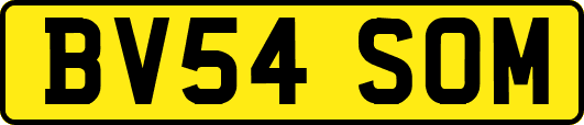 BV54SOM