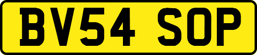 BV54SOP