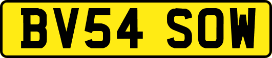 BV54SOW