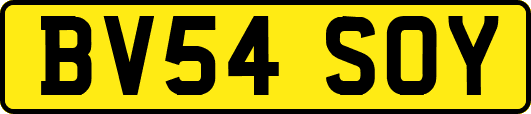 BV54SOY