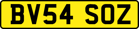 BV54SOZ
