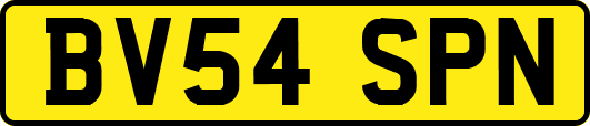 BV54SPN