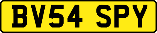 BV54SPY