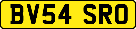 BV54SRO