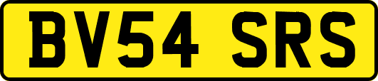BV54SRS