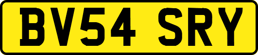 BV54SRY