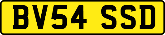 BV54SSD