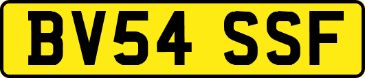 BV54SSF