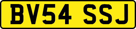 BV54SSJ