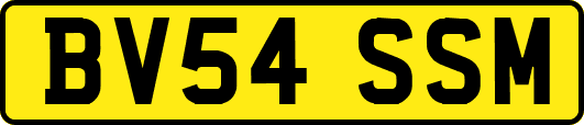 BV54SSM