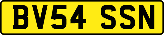 BV54SSN