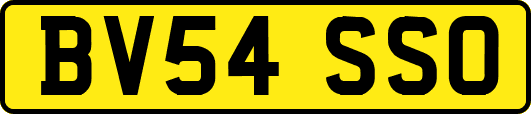 BV54SSO