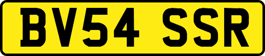 BV54SSR