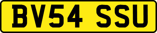BV54SSU
