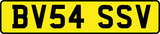 BV54SSV
