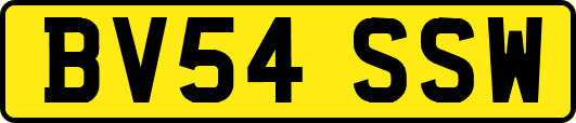 BV54SSW