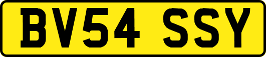 BV54SSY
