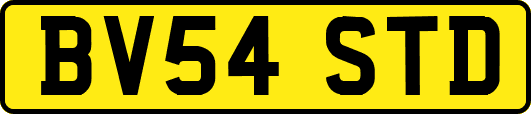 BV54STD