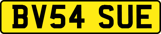 BV54SUE