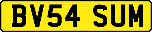 BV54SUM