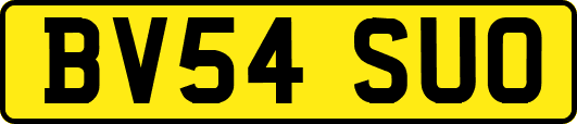 BV54SUO