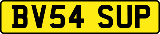 BV54SUP