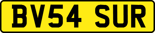 BV54SUR