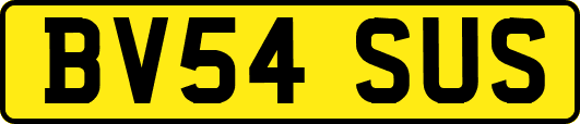 BV54SUS