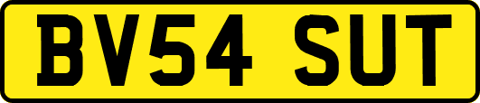BV54SUT