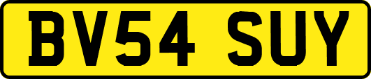 BV54SUY