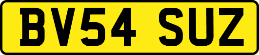 BV54SUZ