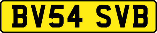 BV54SVB