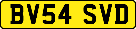 BV54SVD