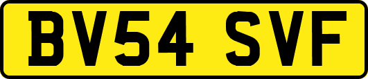 BV54SVF