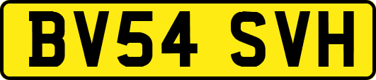 BV54SVH