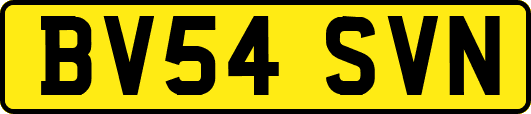 BV54SVN