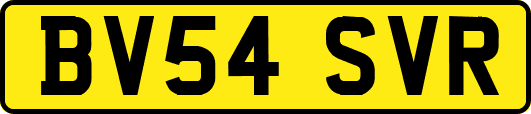 BV54SVR