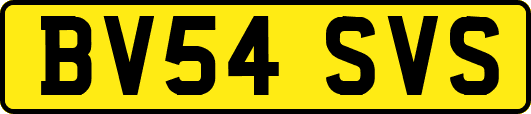 BV54SVS