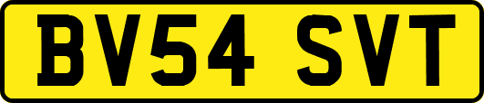 BV54SVT