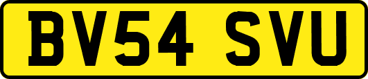 BV54SVU