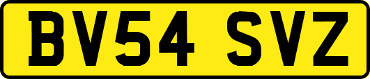 BV54SVZ