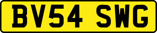 BV54SWG