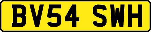 BV54SWH