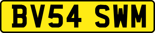 BV54SWM